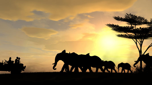 Wilde Tiere und beeindruckende Landschaften – Safaris sind ein aufregendes Abenteuer.