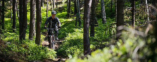 Die Schweden sind begeisterte Radfahrer © Helena Wahlman/imagebank.sweden.se