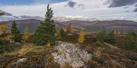 Cairngorms Nationalpark  ©VisitScotland/Jakub Iwanicki
