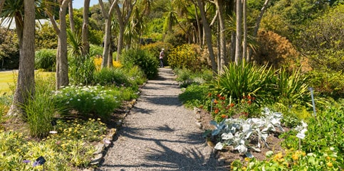 Logan Botanic Garden, Dumfries & Galloway ©VisitScotland/Kenny Lam 